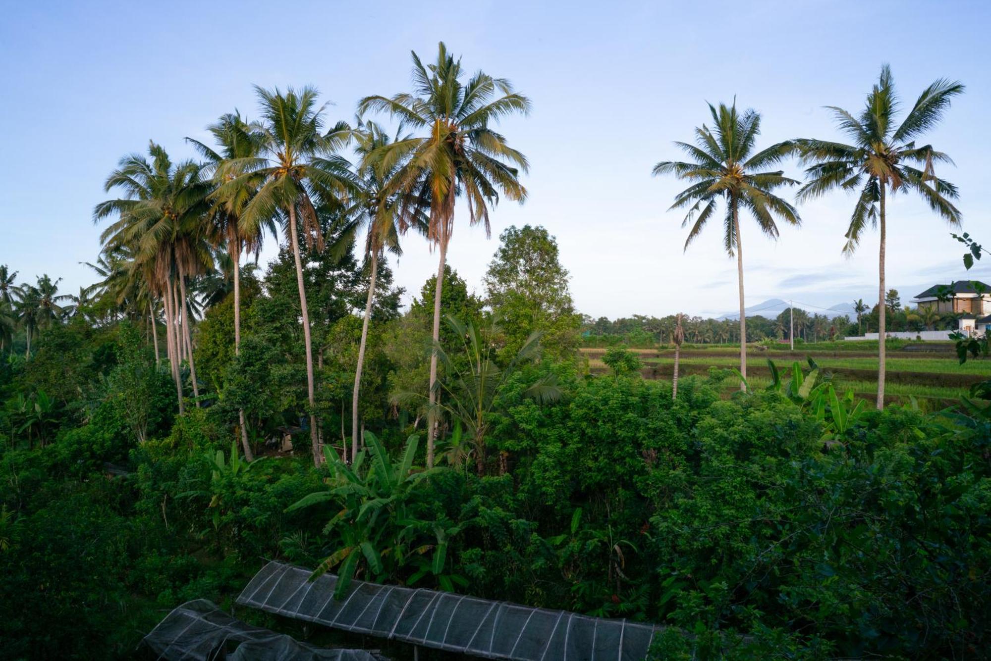 Karang Lila Bhuana Ubud 외부 사진